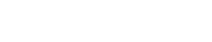 Cadenza Design Partner Program